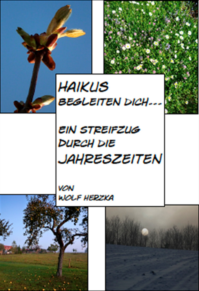 COVERBILD MOMENTAN NICHT VERFÜGBAR