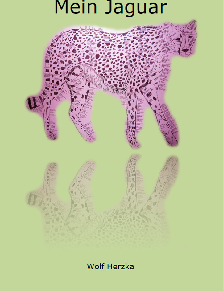 COVERBILD MOMENTAN NICHT VERFÜGBAR