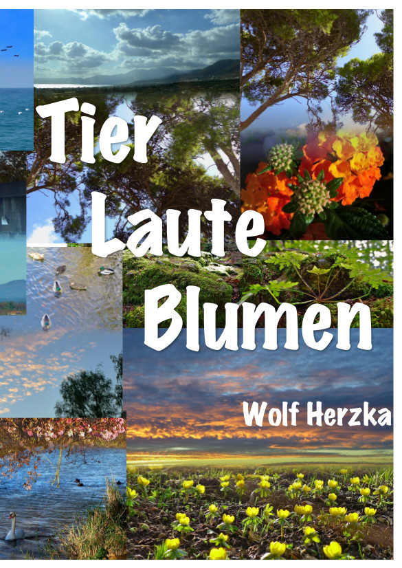 COVERBILD MOMENTAN NICHT VERFÜGBAR