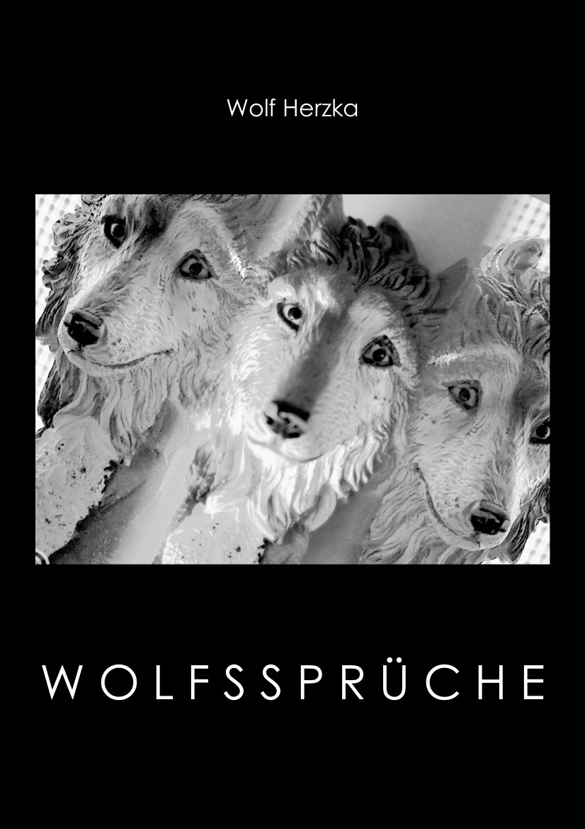 COVERBILD MOMENTAN NICHT VERFÜGBAR