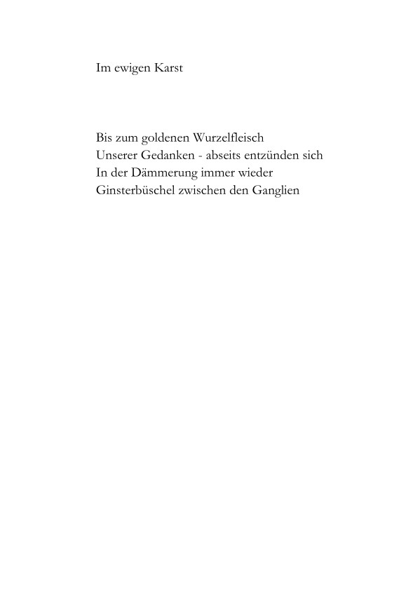 VORSCHAU MOMENTAN NICHT VERFÜGBAR